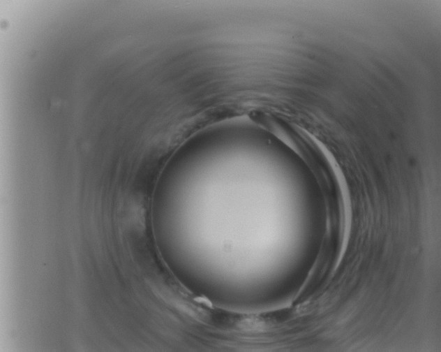 X0000062910562200601201939