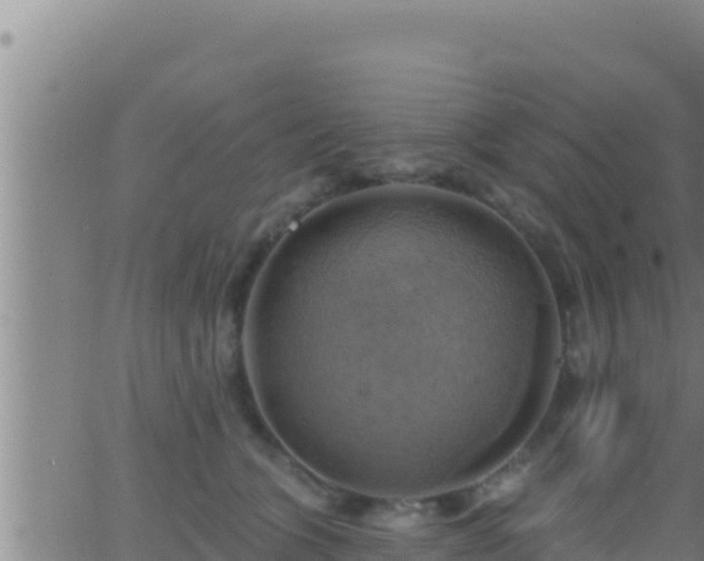 X0000062910563200601201939