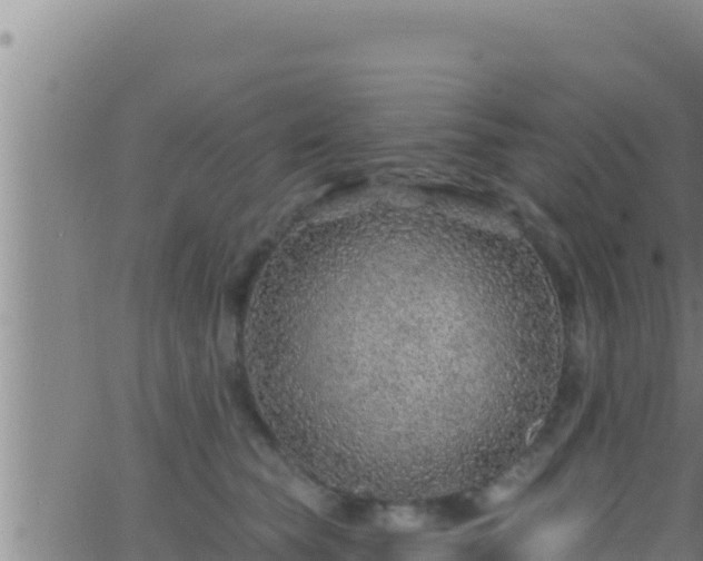 X0000062910565200601201939