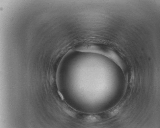 X0000062910566200601201939