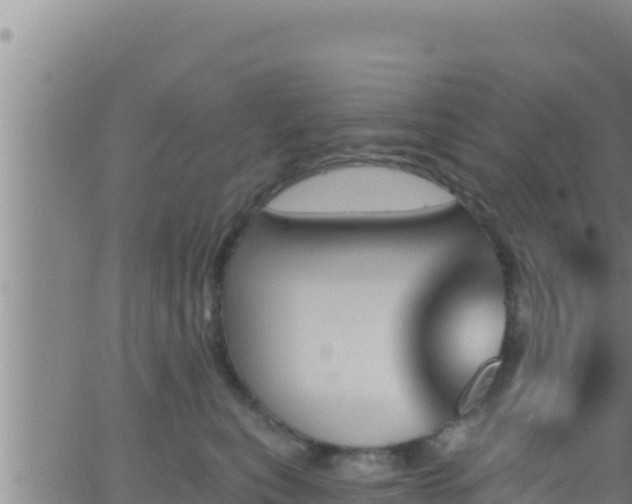 X0000062910567200601201939