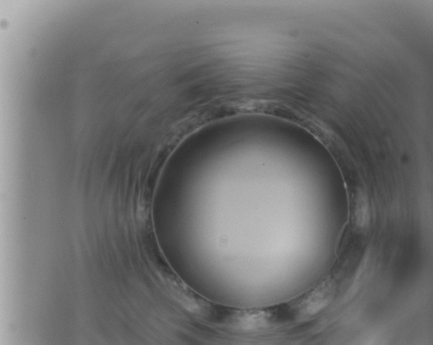 X0000062910569200601201939