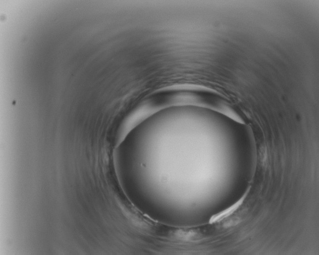 X0000062910570200601201939