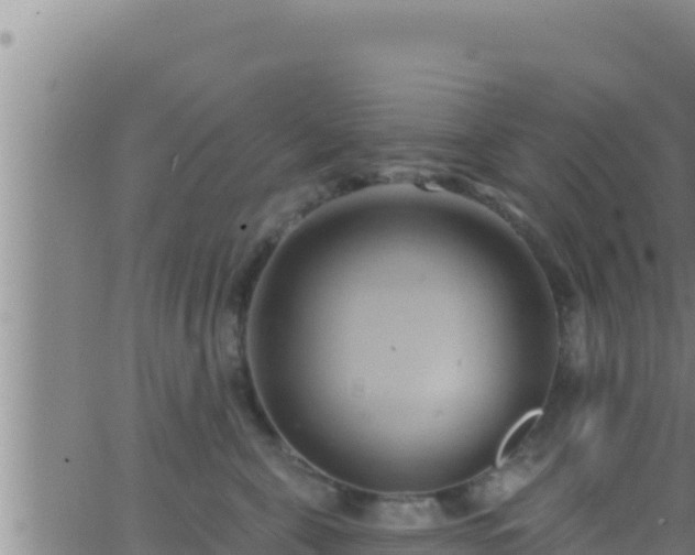 X0000062910571200601201939