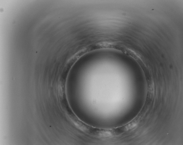 X0000062910572200601201939