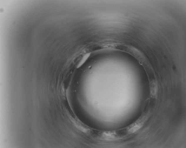 X0000062910573200601201939