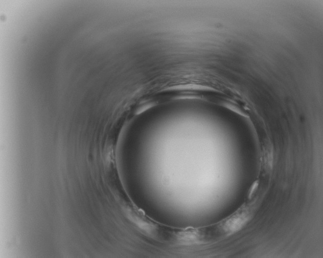 X0000062910574200601201939