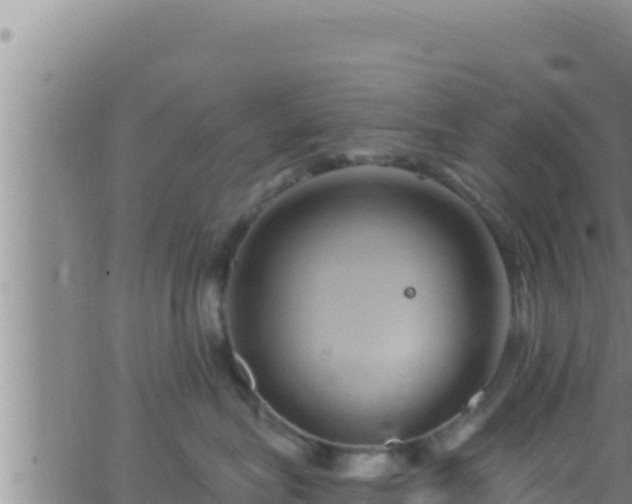 X0000062910575200601201939