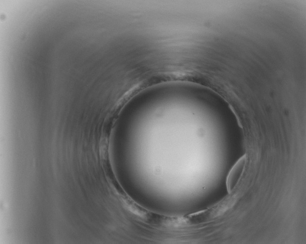 X0000062910576200601201939