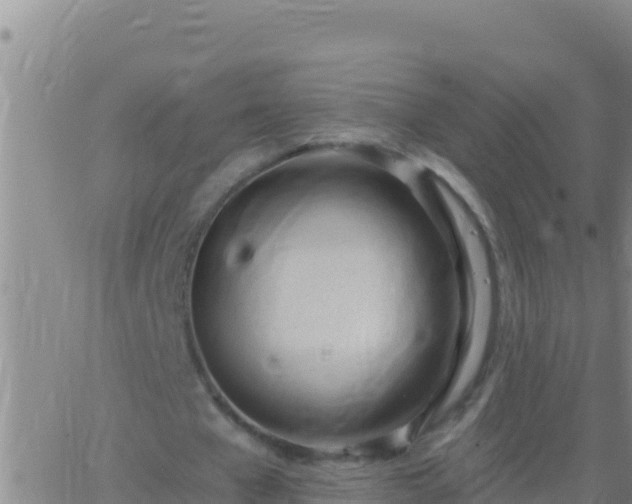 X0000062910577200601201938