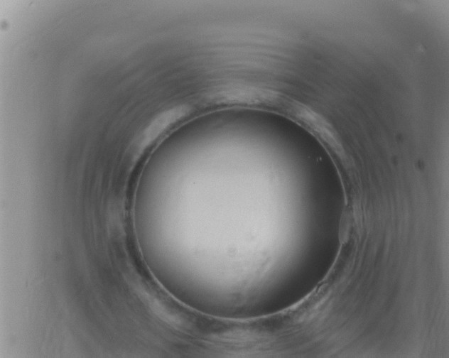 X0000062910578200601201938