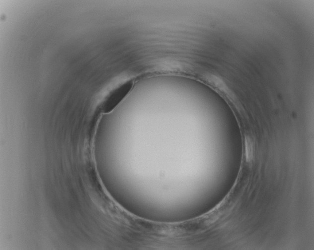 X0000062910579200601201938