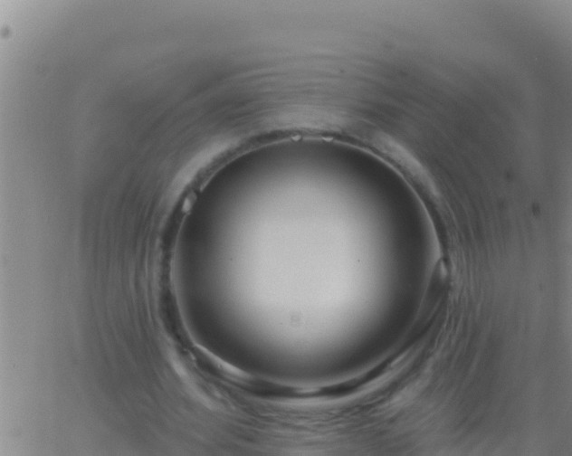 X0000062910580200601201938