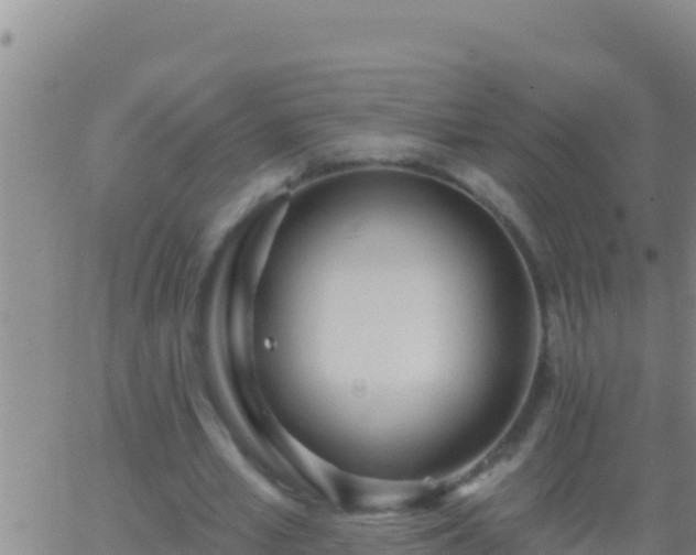 X0000062910581200601201938