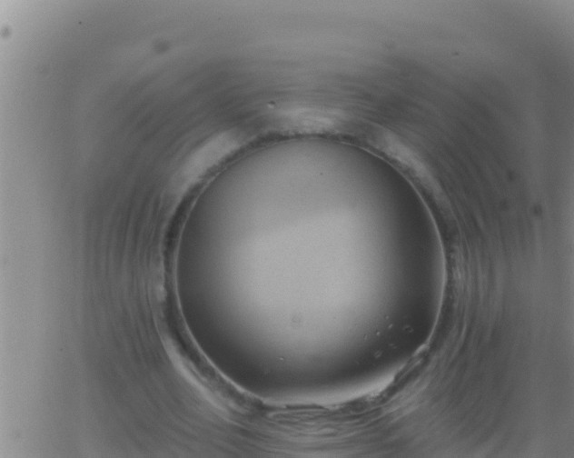 X0000062910582200601201938