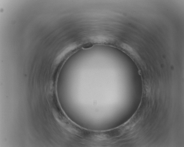 X0000062910583200601201938