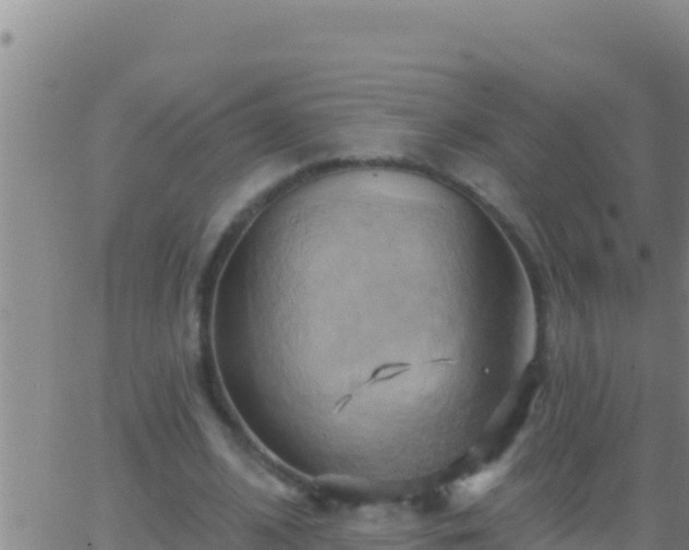 X0000062910584200601201938