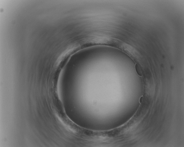 X0000062910586200601201938