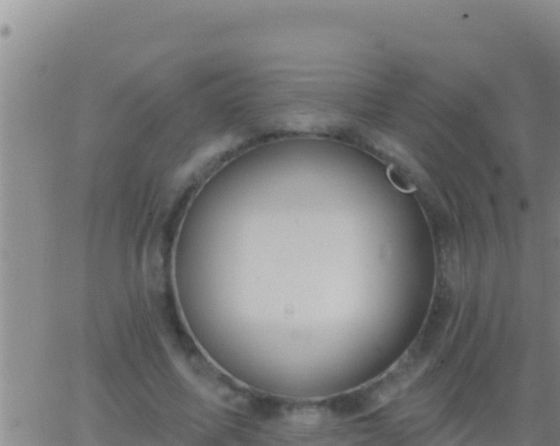 X0000062910587200601201938