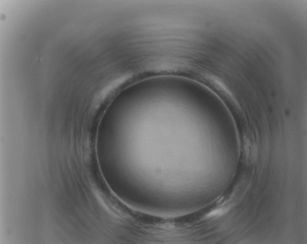 X0000062910588200601201938