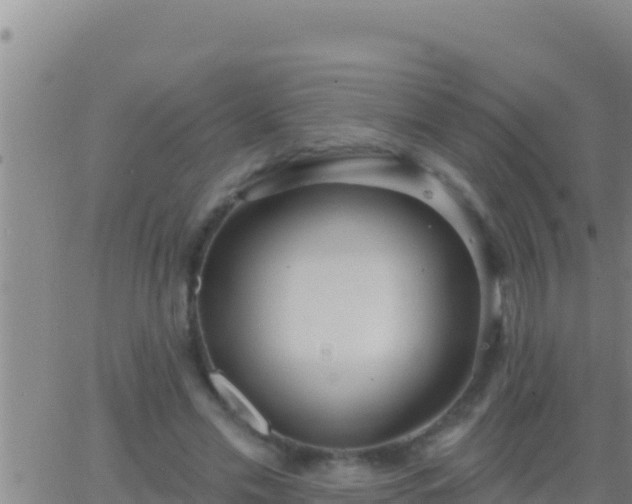 X0000062910589200601201938