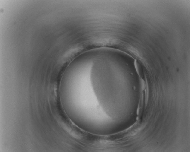 X0000062910590200601201938