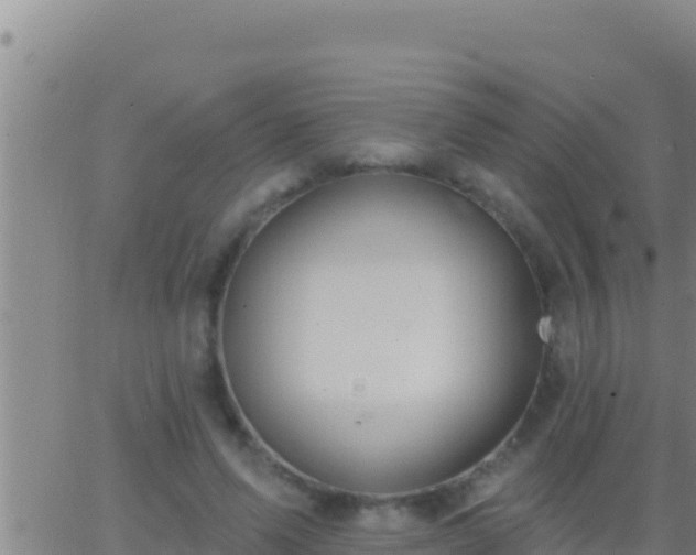 X0000062910591200601201938