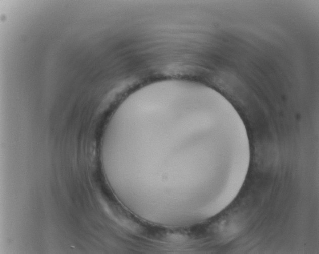 X0000062910592200601201938