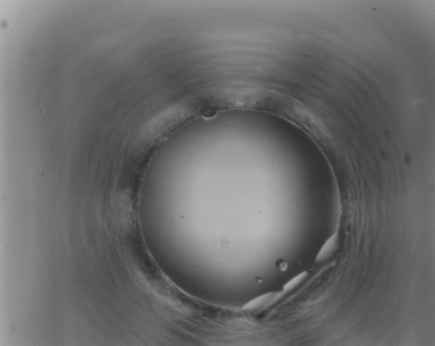 X0000062910594200601201938