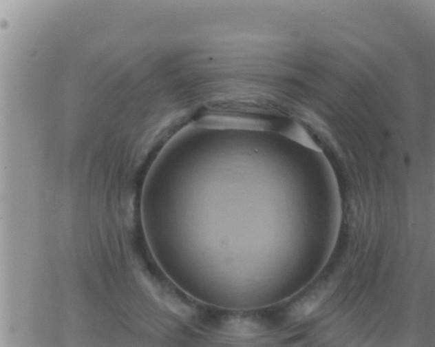 X0000062910596200601201938