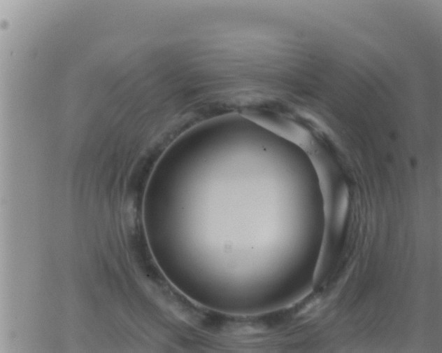 X0000062910597200601201938