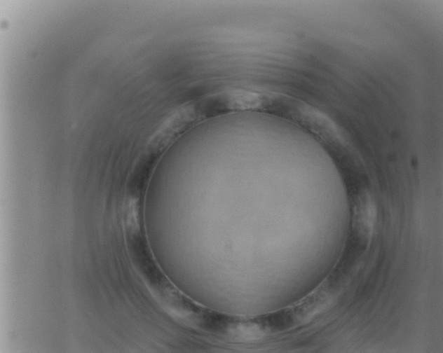 X0000062910598200601201938