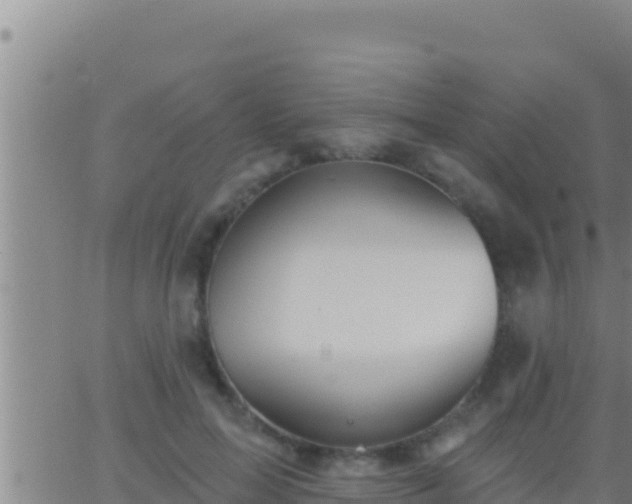 X0000062910599200601201938