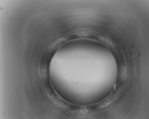 X0000062910600200601201938