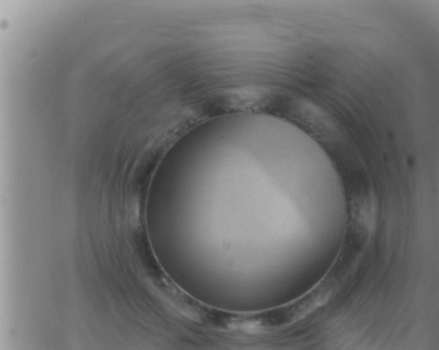 X0000062910602200601201938