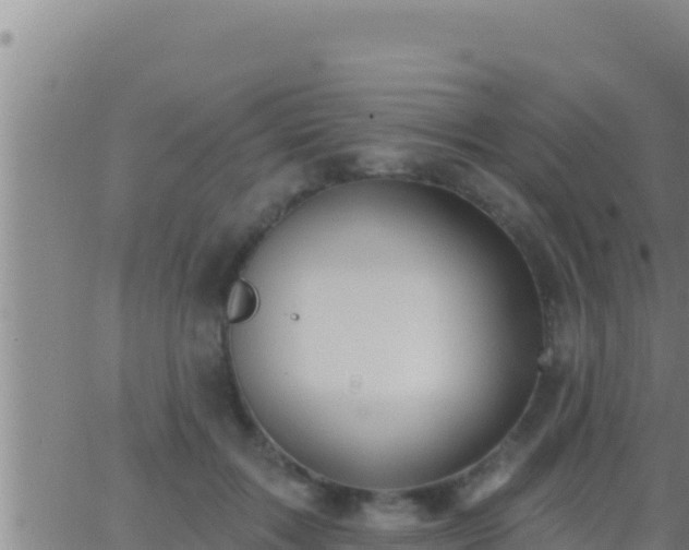 X0000062910603200601201938