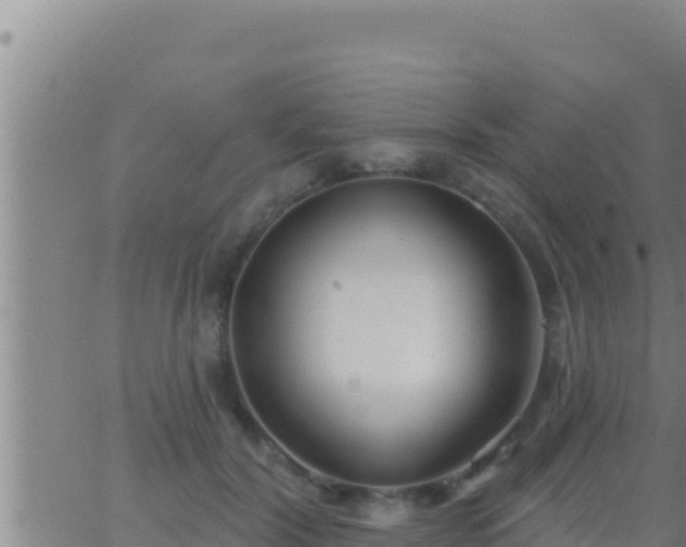 X0000062910604200601201938