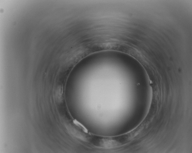 X0000062910605200601201938