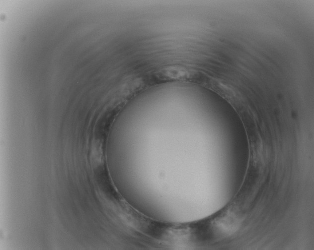 X0000062910606200601201938