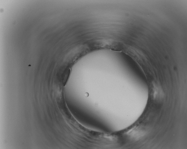 X0000062910607200601201938