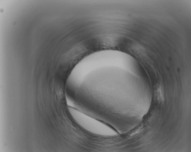 X0000062910608200601201938