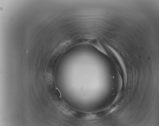 X0000062910609200601201938