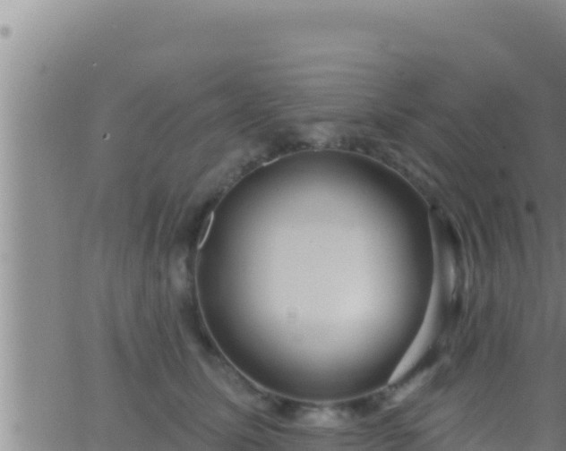 X0000062910611200601201938