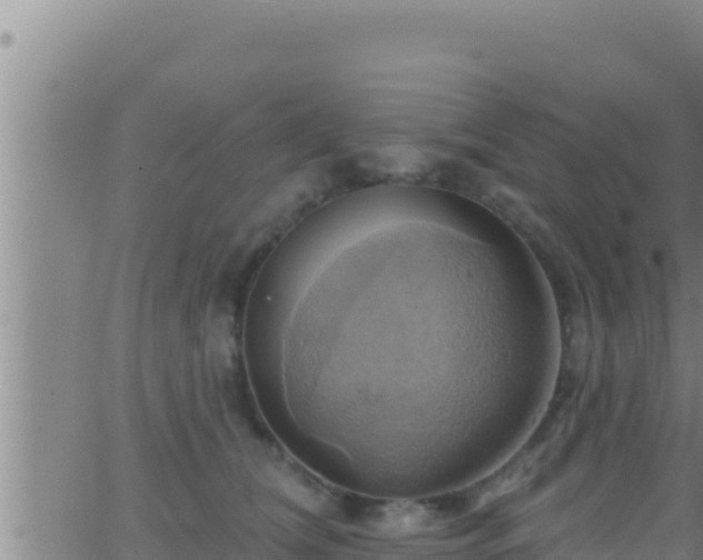 X0000062910612200601201938