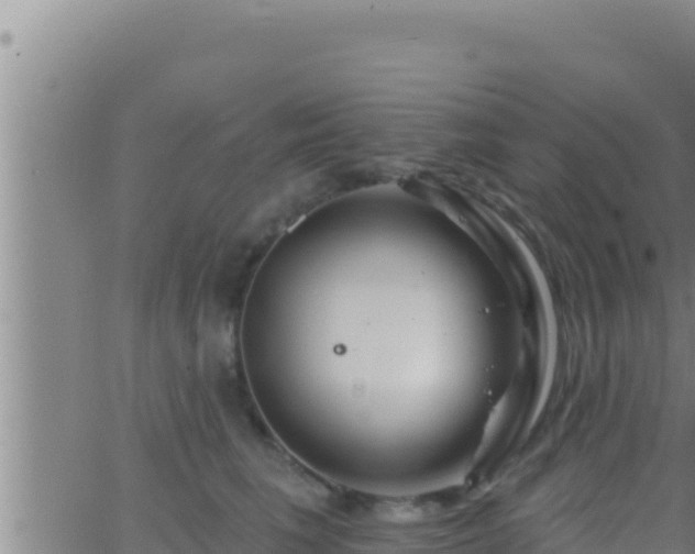 X0000062910613200601201938