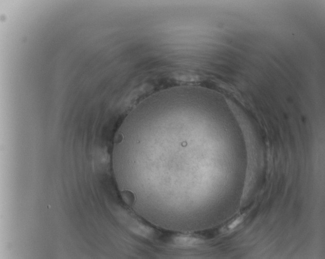 X0000062910614200601201938