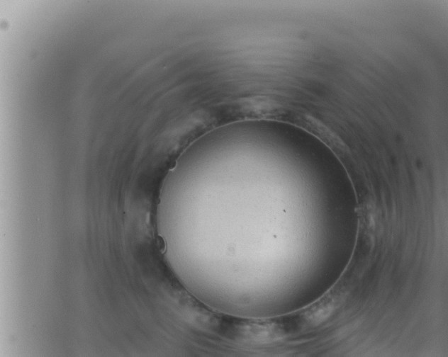 X0000062910615200601201938