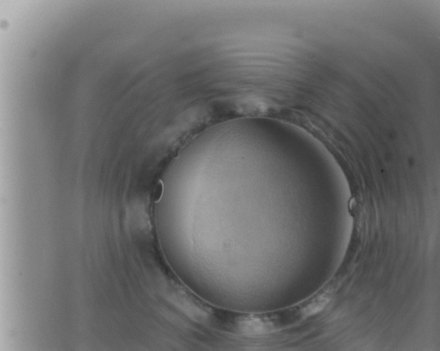 X0000062910616200601201938