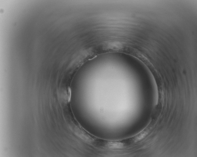 X0000062910617200601201938