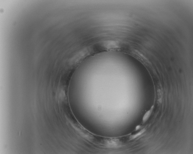 X0000062910618200601201938